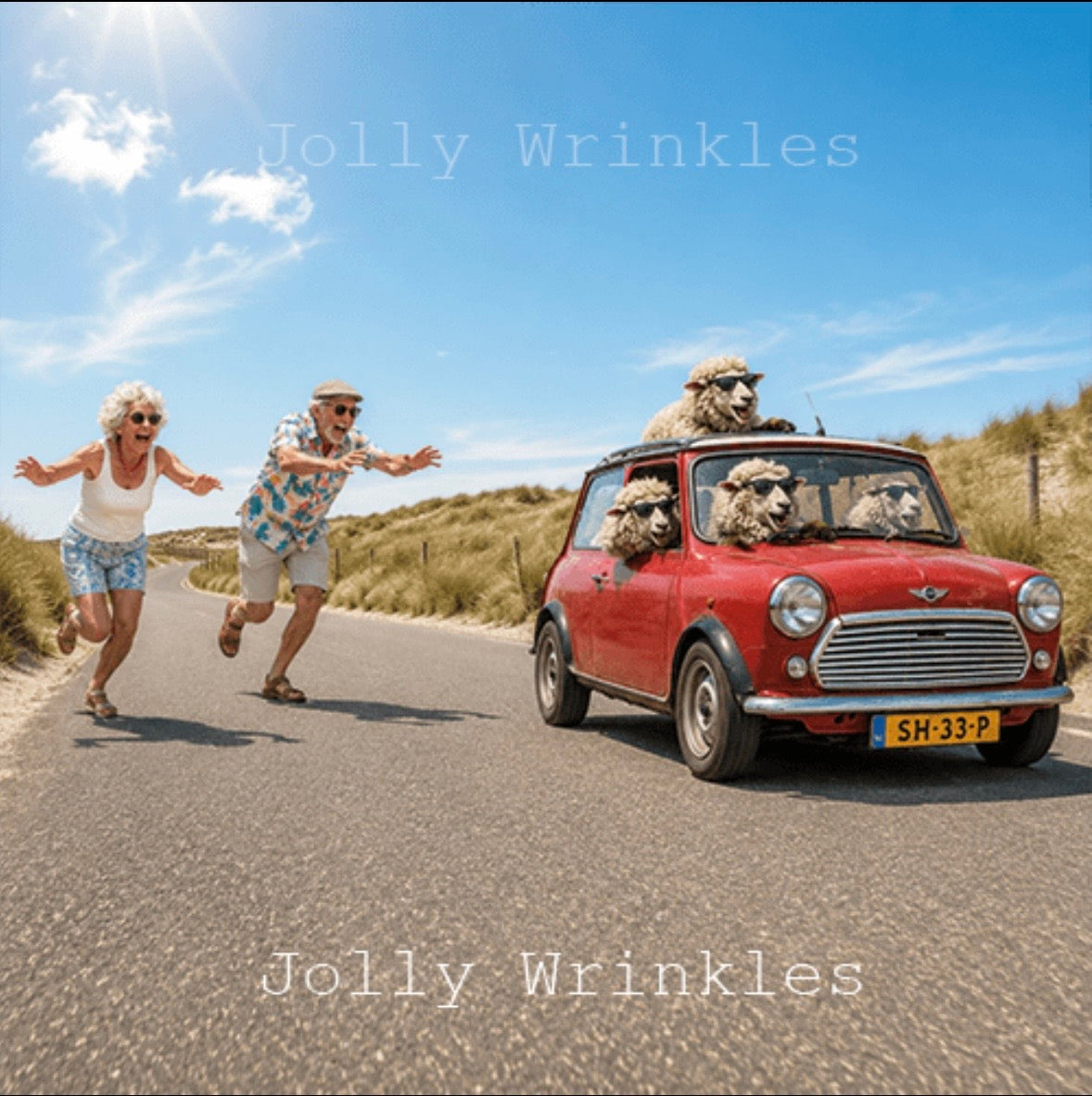 Jolly Wrinkels Ansichtkaarten