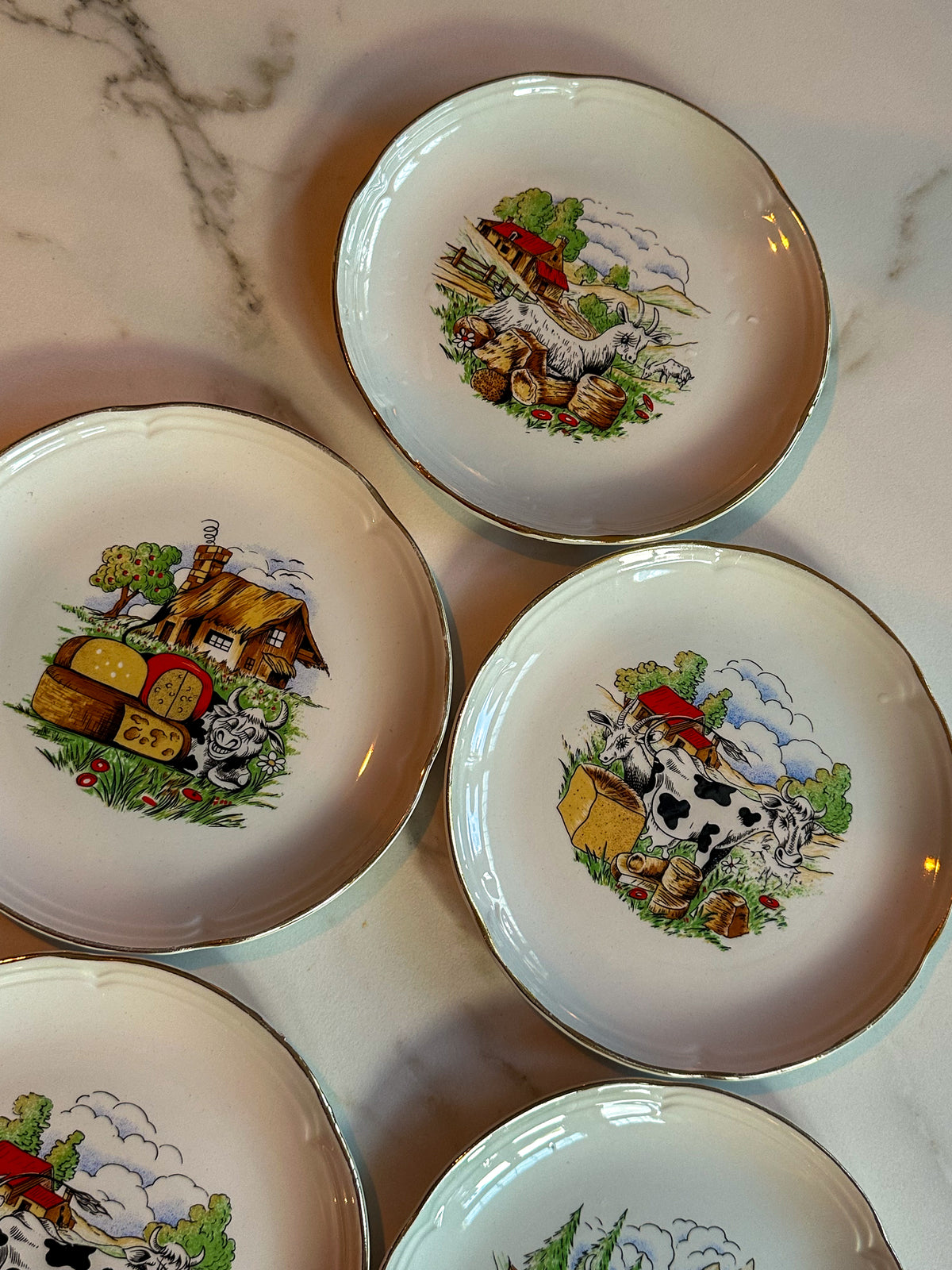 Vintage Franse Kaasbordjes Moulin des Loups – Set van 7