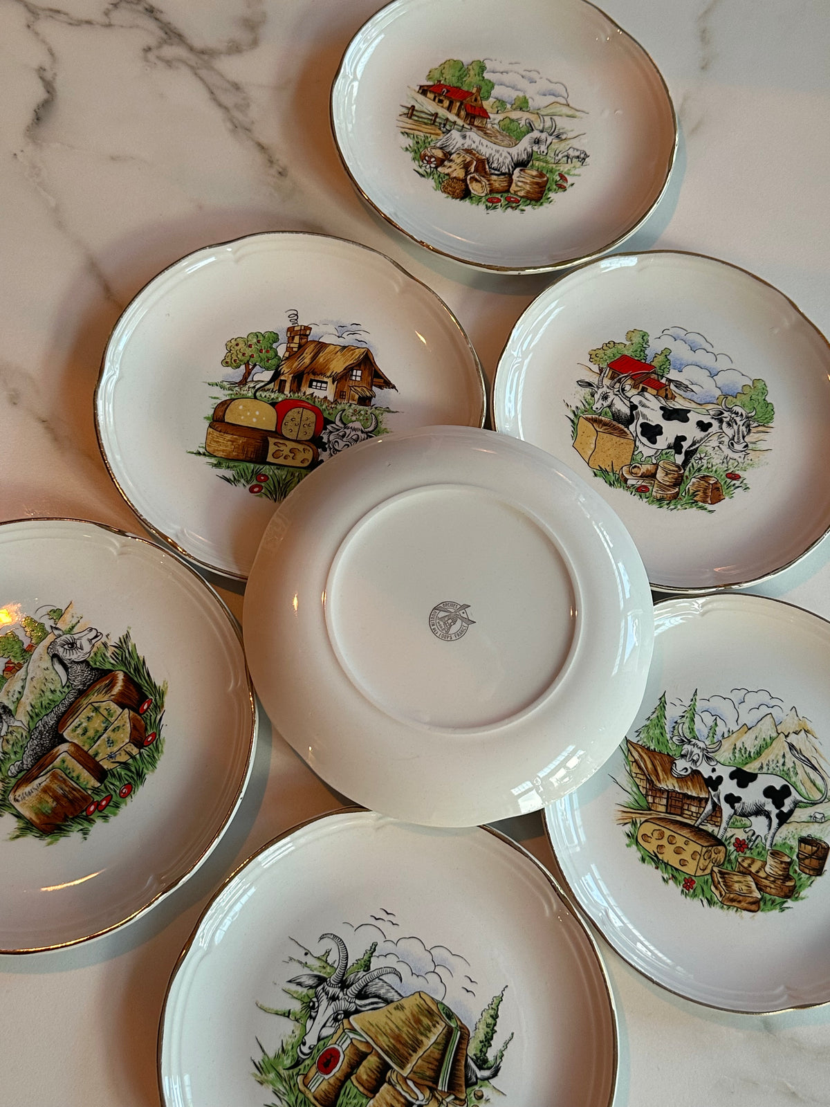 Vintage Franse Kaasbordjes Moulin des Loups – Set van 7