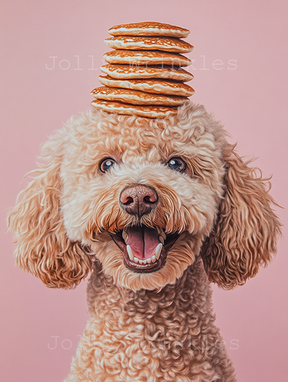 Jolly Wrinkels Ansichtkaarten - Ruby Conceptstore 