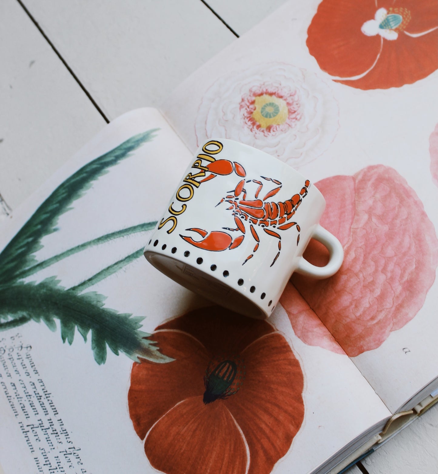 Anna + Nina - Zodiac mok Scorpio - Ruby Conceptstore 