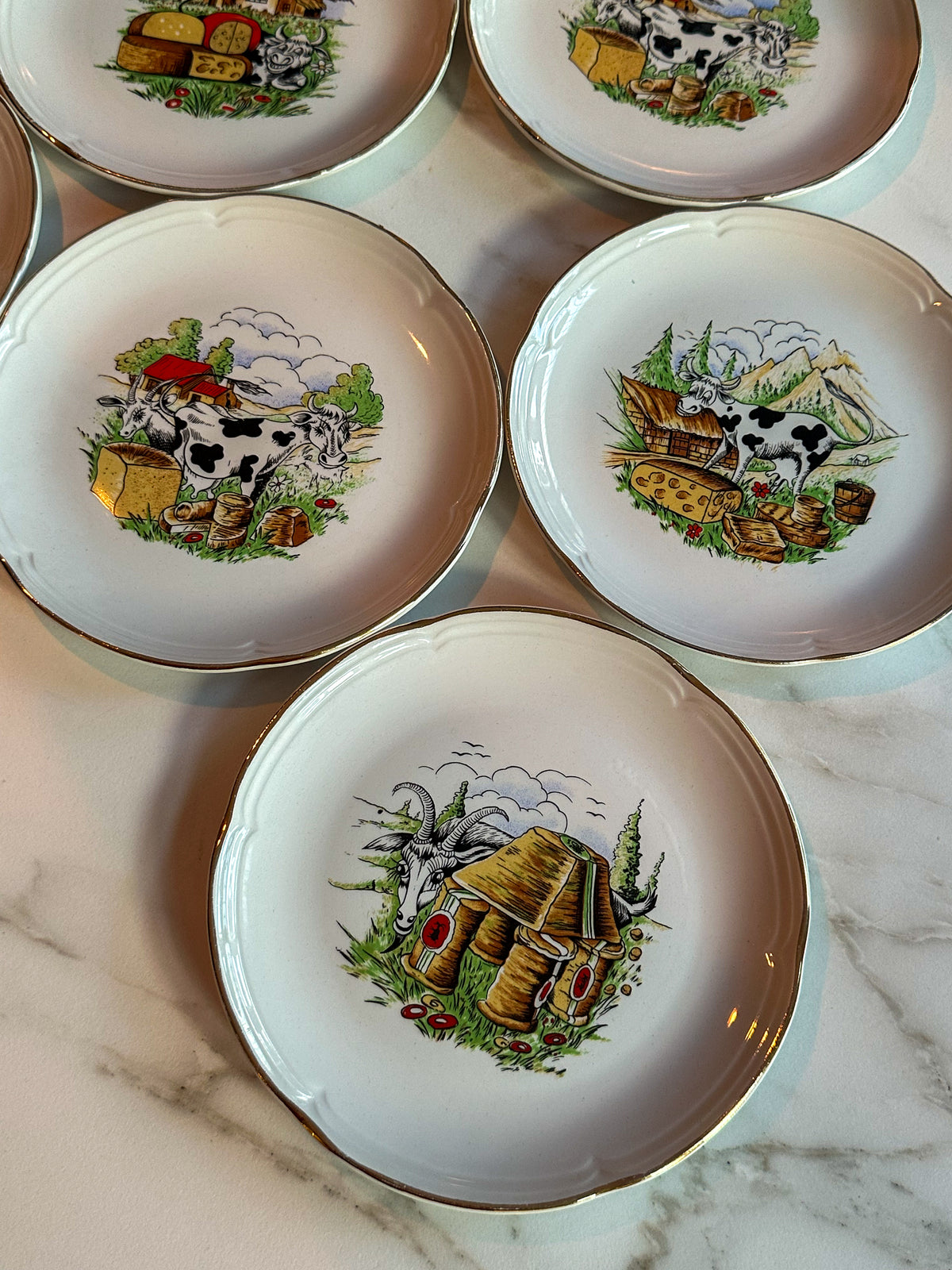 Vintage Franse Kaasbordjes Moulin des Loups – Set van 7