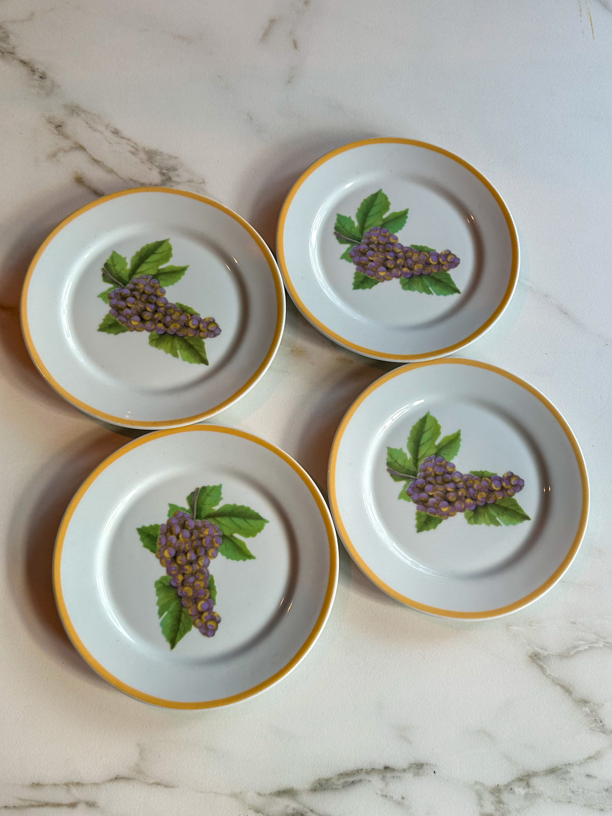 Vintage Kronester Bavaria bordjes met druiven | Set van 4