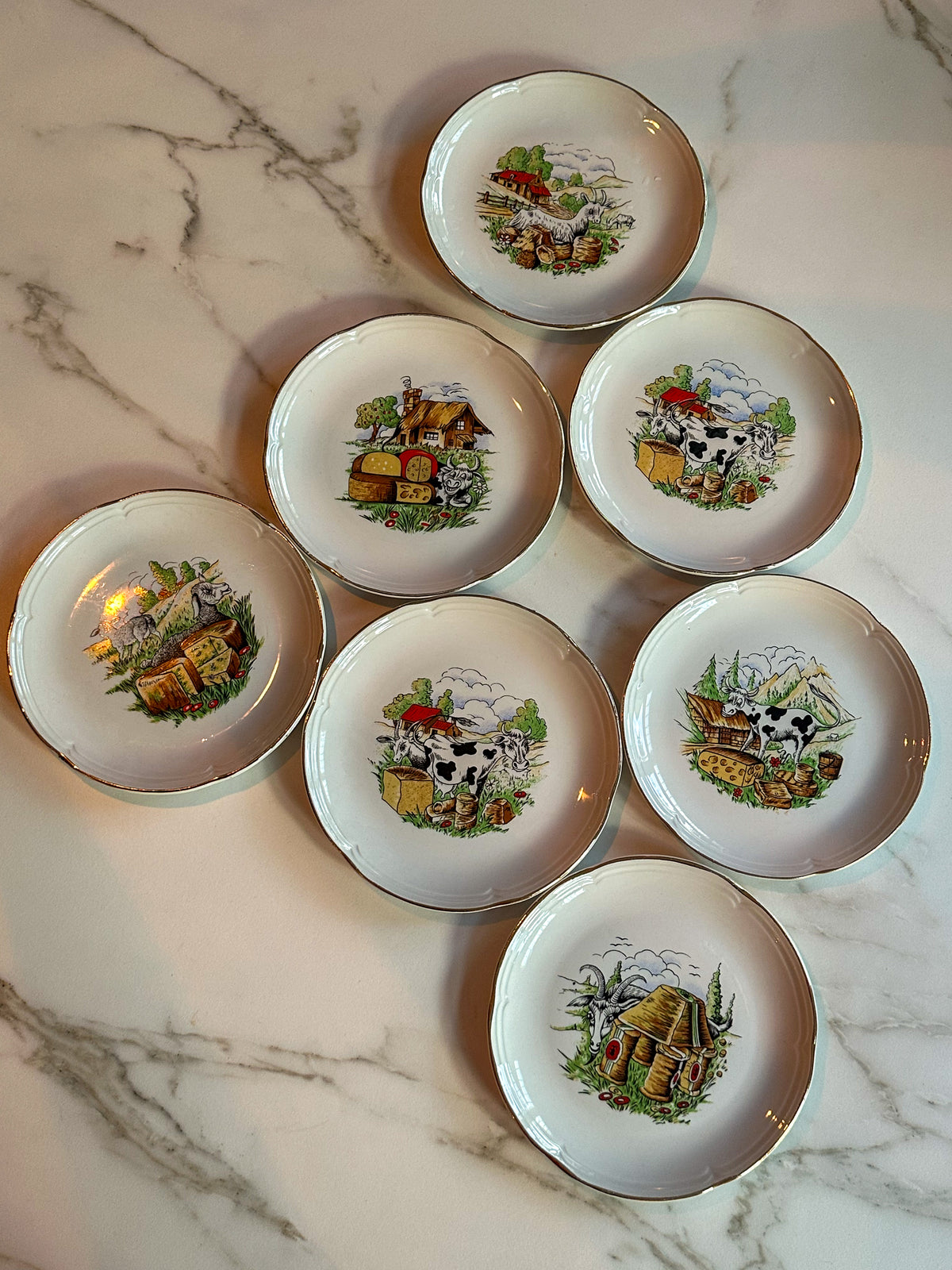 Vintage Franse Kaasbordjes Moulin des Loups – Set van 7
